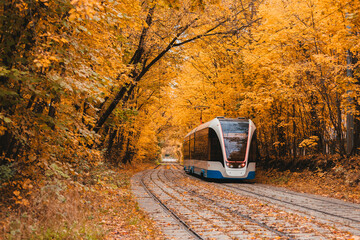 Tram in the autumn forest