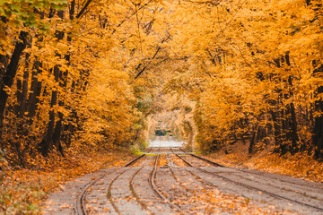 Tram rail in the autumn park
