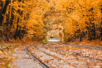 Tram rail in the autumn park
