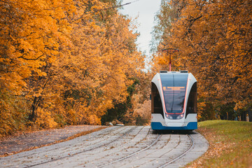 Tram in the autumn forest