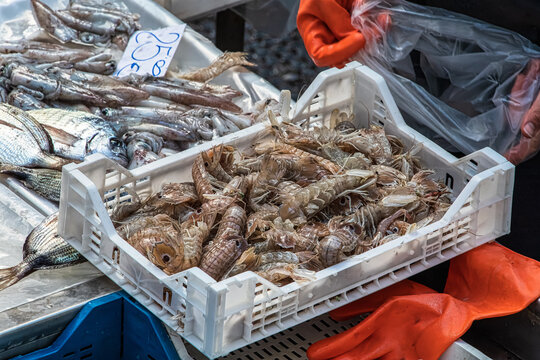 Canocchie di mare esposte alla pescheria di Catania