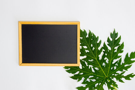 A blackboard with green leaves over the white background. 