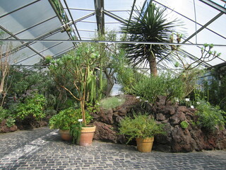 Gewächshaus mit Kübelpflanzen Berggarten Hannover