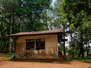 an empty house in the middle of the forest that has been abandoned by its owner for a long time
