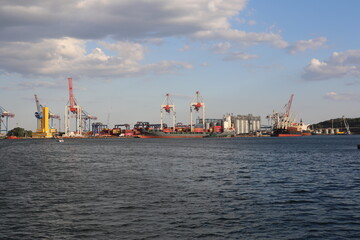 cranes in the port