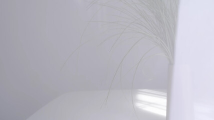 translucent white curtains develop, defocus soft background. abstract background.