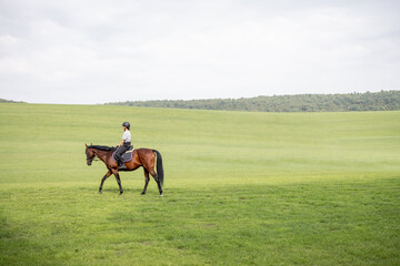 Side view of female horseman riding brown Thoroughbred horse on green meadow in countryside. Concept of rural resting and leisure. Idea of green tourism. Beautiful green landscape on sunny day