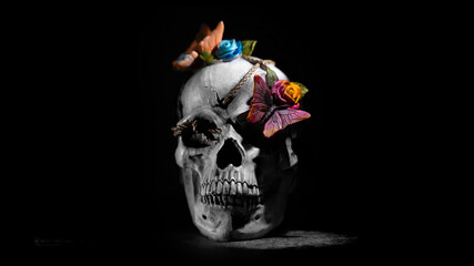 An image produced for halloween, all hallows' eve of a skeleton candy skull human head on a black...