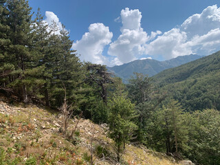 Montagnes verdoyantes GR20 Corse