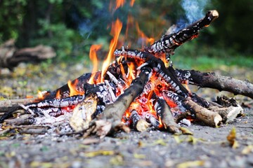 Bonfire in the forest, flames and coals