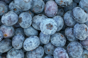 A top view, flatlay, overhead view of blueberries on a blue wooden textured background with space for text, 