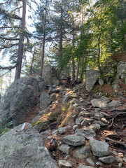 Troncs Corse GR20