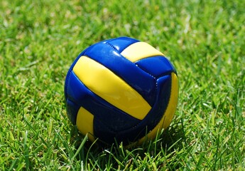 Fototapeta premium Pelota voleibol
