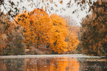 Autumn in the park