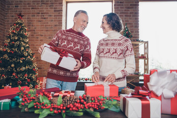 Photo of two cheerful grandparents hold present wrap package toothy smile wear ornament sweater home indoors