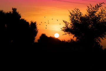 Attractive landscape photograph of sunrise in the morning view and Beautiful view of silhouette trees and silhouette hills and rising sun in the countryside with creative colors sky background