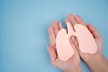 Diagnostic, internal donor organ. Lungs made paper on beige background
