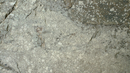 Gray white green scale stone texture for background, wallpaper, material for texture 3D