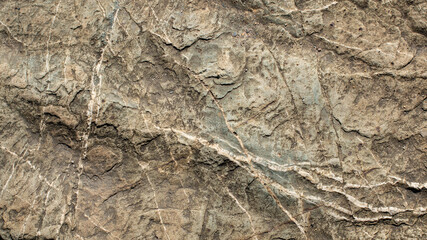 Brown earth stone texture for background, wallpaper, material for texture 3D