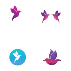 Bird logo vector and images