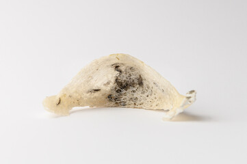 Chinese Edible Bird Nest isolated white background