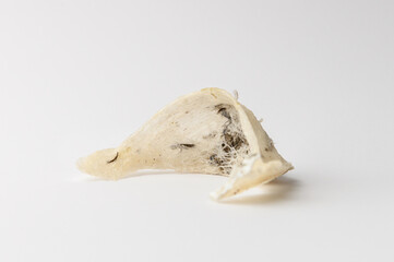 Chinese Edible Bird Nest isolated white background