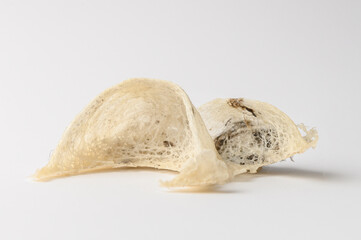 Chinese Edible Bird Nest isolated white background