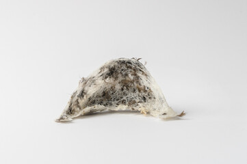 Chinese Edible Bird Nest isolated white background