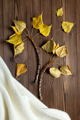 Branch leaves over brown wooden backgound, flat lay. Autumn herbarium.