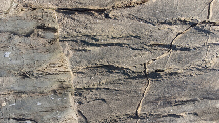 Brown cliff texture with black streak for background, wallpaper, material for texture 3D