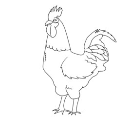 illustration of a rooster for coloring books