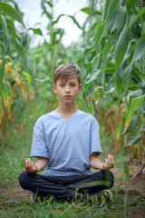 Kid boy Half Lotus pose yoga meditating on grass in summer day. Health concept.
