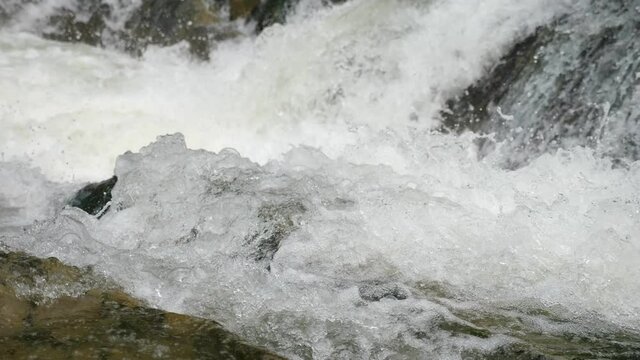 Bubbling foamy waters spraying over rocky cascade in the Carpathian mountains