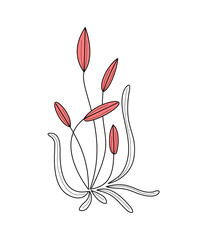 flower - color vector illustration isolated on white background. plant shrub with flower buds - thin lines logo in flat style hand drawn. flower buds - asymmetrical plant