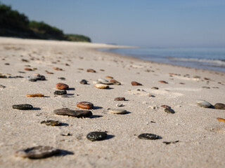 SEA COAST - Pebble stones on the beach