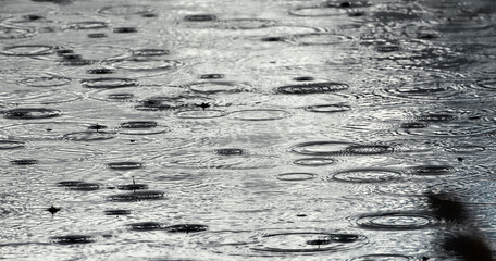 Llueve sobre mojado