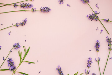 lavender flowers on a pink background. top view, space for text