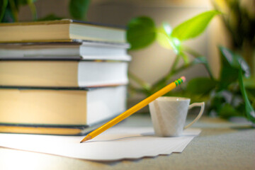 pencil with close books in background.