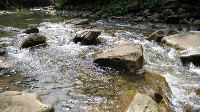 Fresh transparent waters bypassing big rocks the Carpathians in summer