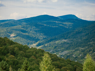 Fototapeta na wymiar Mountains with forests