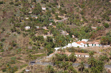 Fototapeta na wymiar Typical landscape of the island of La Gomera, with palm trees and white houses