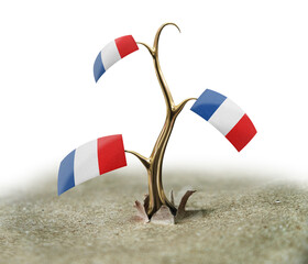 3d sprout with French flag on white