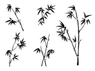Vector bamboo black and white illustration. Outline and line art. Hand drawn ink art, freehand drawing. Japanise and chinese ink wash painting imitation.
