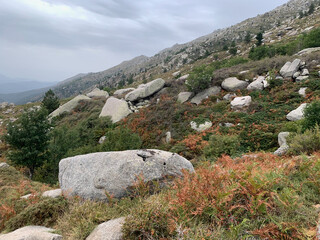 Fototapeta na wymiar Rochers GR20 en Corse
