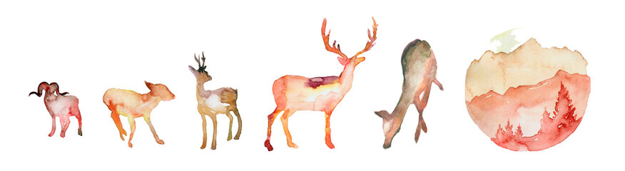 sika deer, axis deer, samba deer, mauntains isolated on white background.watercolor illustration