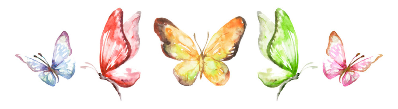 set of colourful butterflies isolated on a white background. High quality illustration