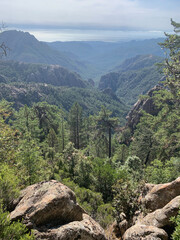 Montagnes et forêt corse GR20 Corse