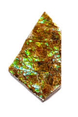 Macro of the mineral stone ammolite on white background