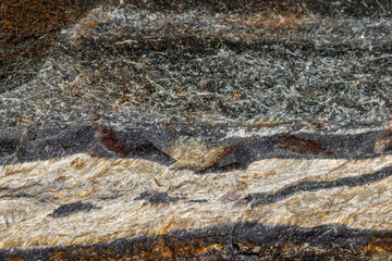 Macro mineral stone Snake eye in the rock a white background