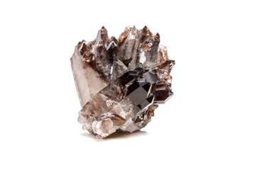 Macro mineral stone Morion crystal in the rock a white background